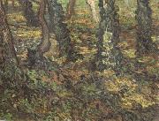 Vincent Van Gogh Tree Trunks with Ivy (nn04) painting
